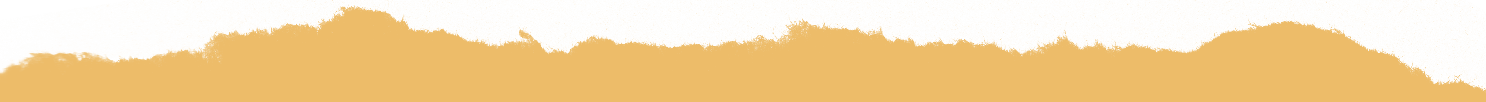 ripped paper texture four